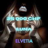 Elvetia, bar and studio. Best December!!!